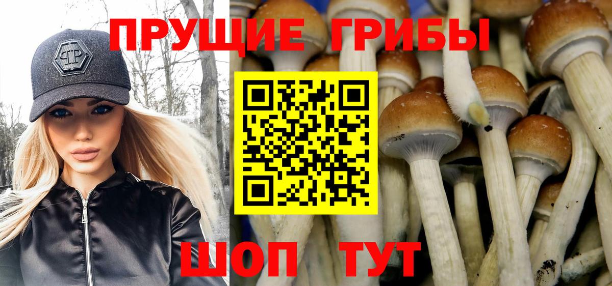 Псилоцибиновые грибы Psilocybe  Псилоцибиновые грибы ЛСД  Вход с VPN  Салехард 