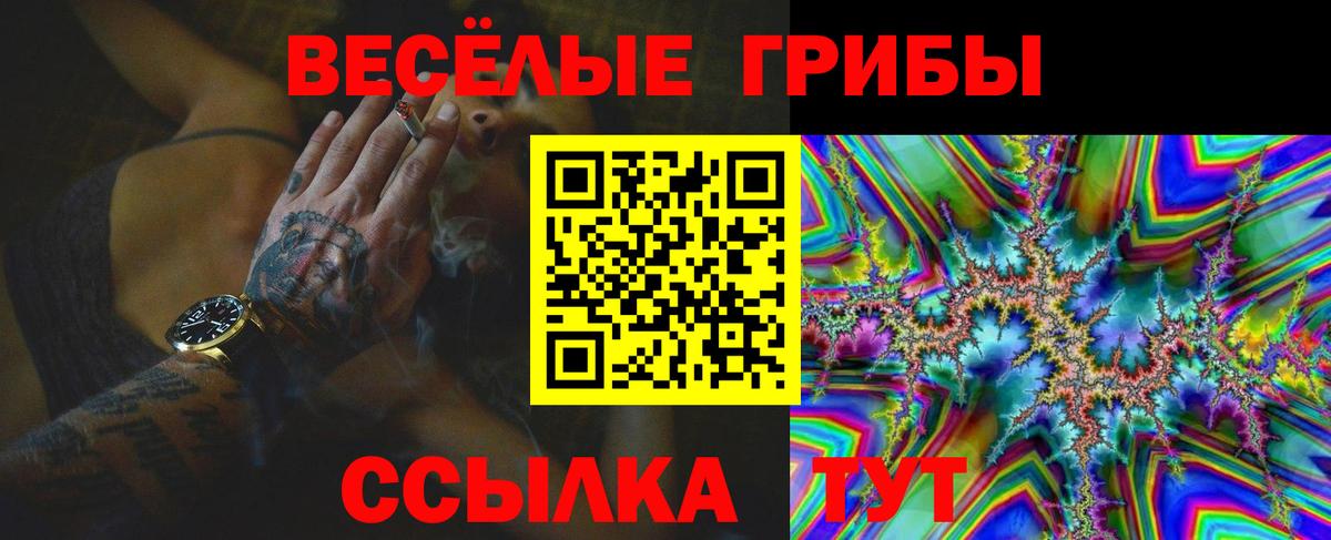 Галлюциногенные грибы Psilocybine cubensis Салехард